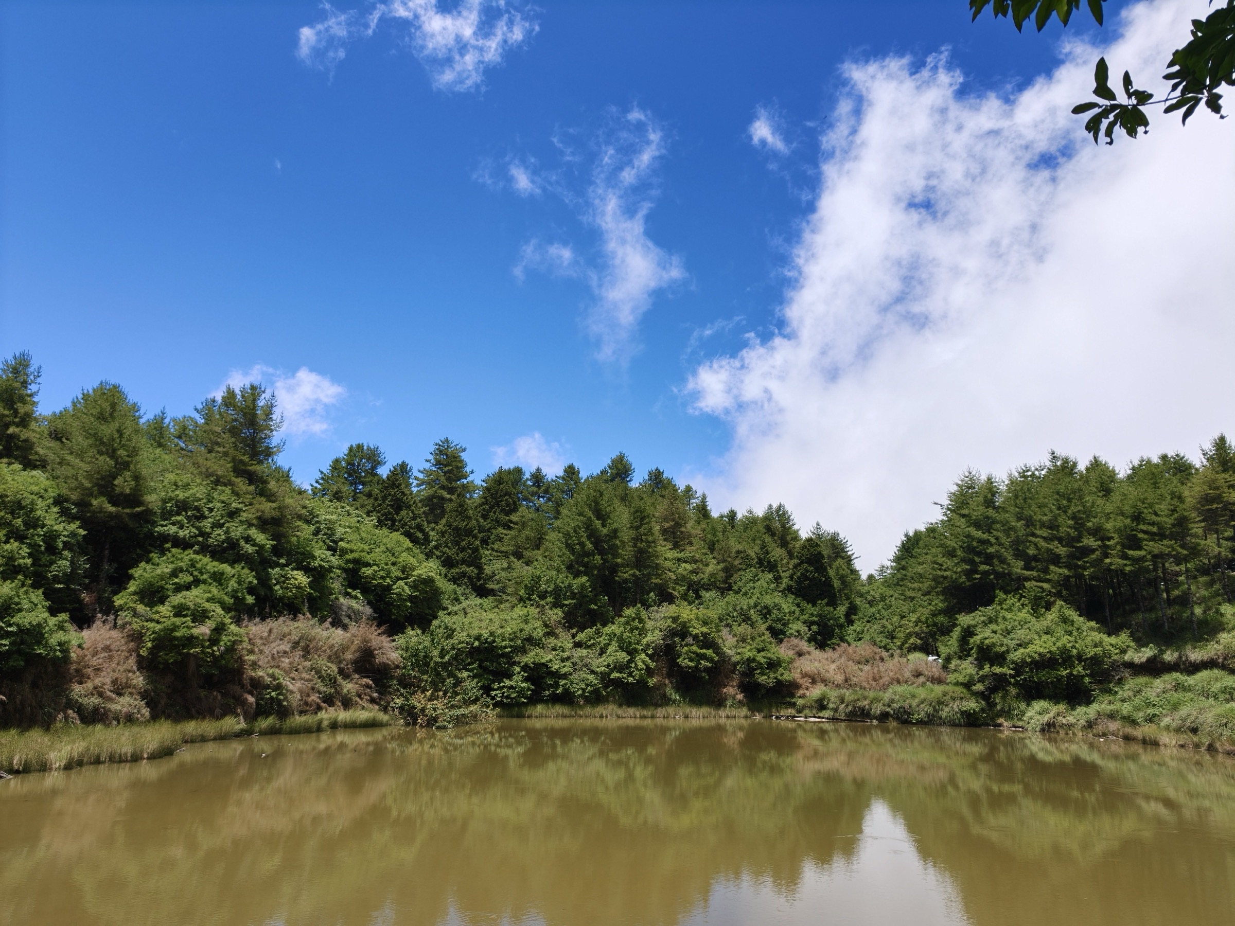 高山步道與遠方山景